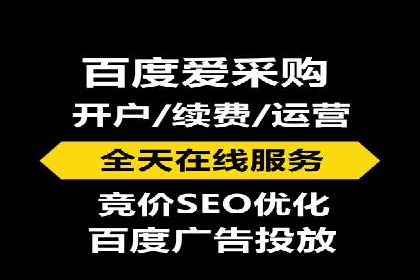 百度SEM推广策略：成功案例解析